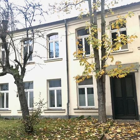 Wohlfuehl-Oase Mitten In Der Stadt - Garten, Grill, Netflix Und Drucker Leipzig Bagian luar foto